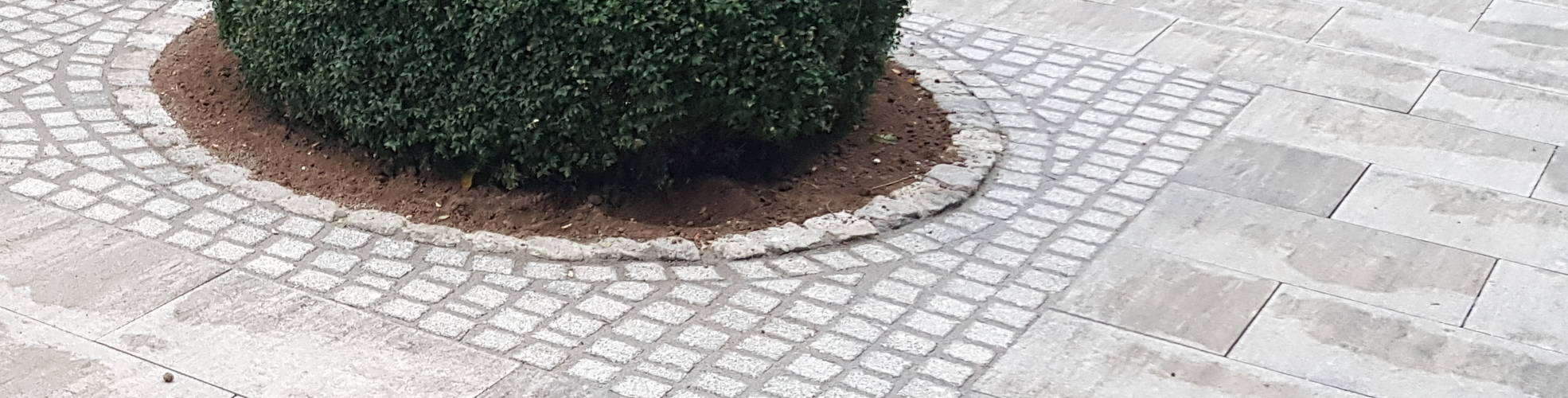 Pflaster & Steinarbeiten