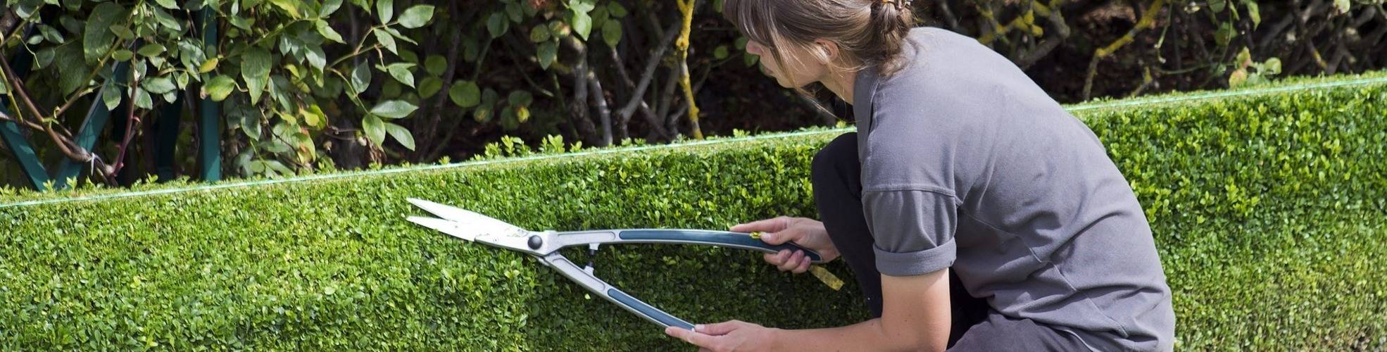 Gartenpflege Abo