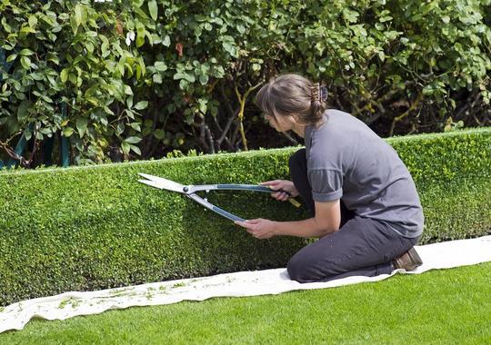 Gartenpflege Abo